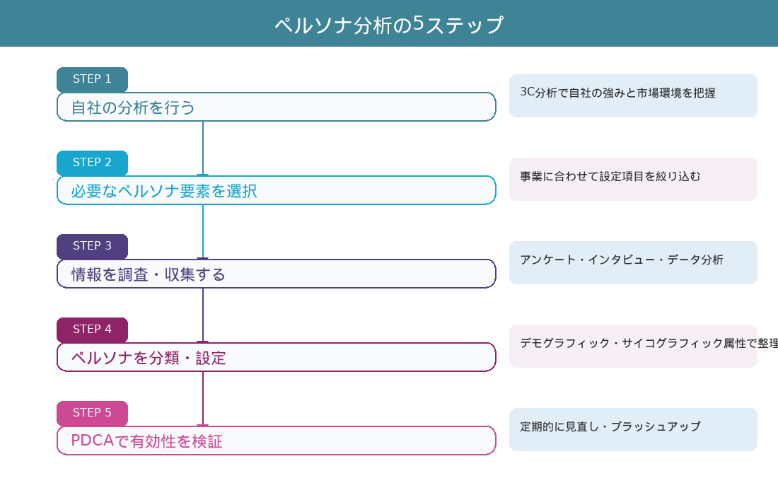 ペルソナ分析の5ステップ（自社分析→要素選択→情報調査→分類設定→PDCA検証）